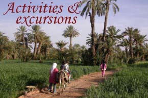 Excursions in Ferkla oasis, Todra gorges and Merzouga dunes.