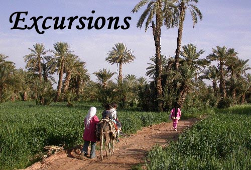 Excursions a Tinghir, gorges del Todra, Merzouga...