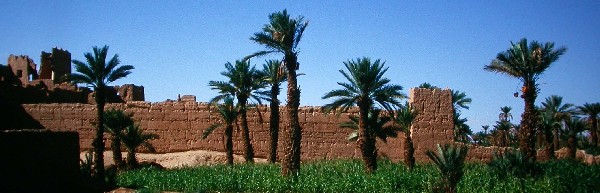 Wall of the Ksar Tighadouine, oasis of Ferkla, Southern Morocco.