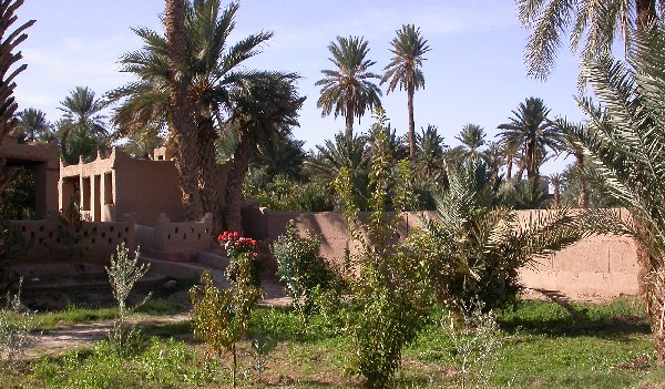 Jardín de la casa rural El Khorbat en el valle del Todra, Marruecos.