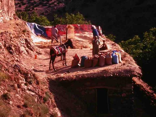 Oasis Museum, El Khorbat