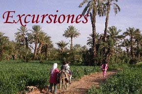 Excursiones por el oasis de Ferkla, gargantas del Todra y Merzouga