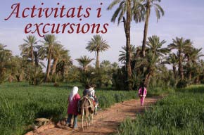 Excursions per l’oasi de Ferkla, gorges del Todra i Merzouga.