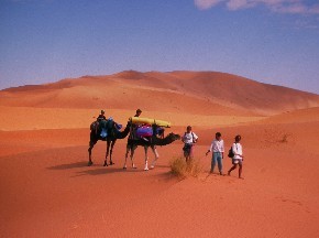 Dunes de l’Erg Chebbi, près de Merzouga, désert du Maroc.