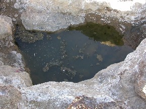 Tassabelbalt spring near El Khorbat in Ferkla Oasis, South Morocco.