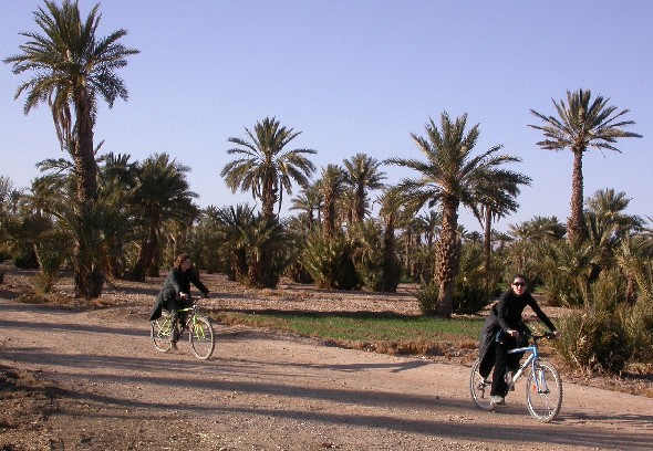 Excursión en bicicleta por el palmeral de Tinejdad, Marruecos.
