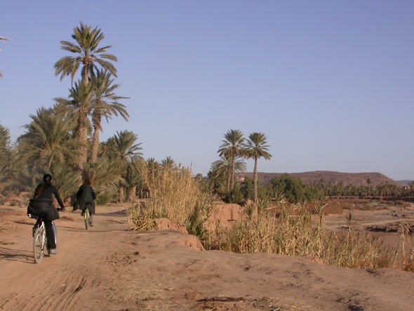 Tour en vélo au tour de Tinejdad, sud du Maroc.