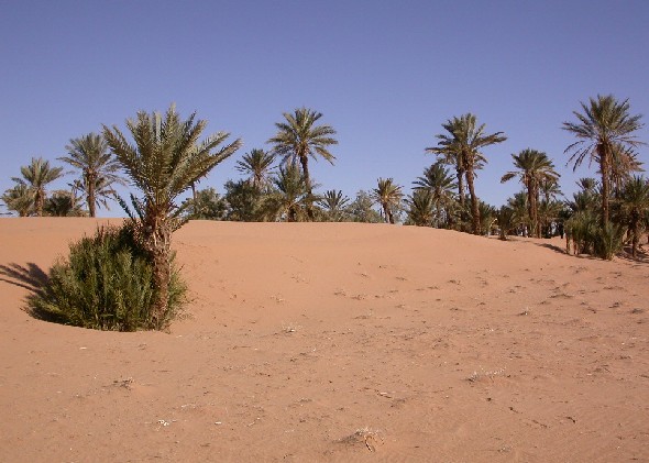 Dunes de sorra prop de Tinejdad, sud del Marroc.