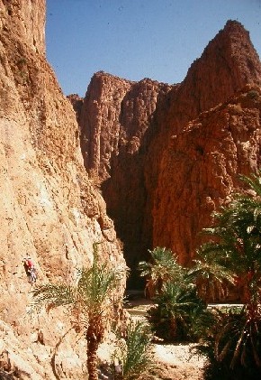 Todra gorges, near tinghir in South Morocco.