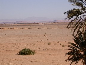 Fogara en el oasis de Ferkla.