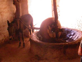 Moulin à huile près du ksar El Khorbat, au sud du Maroc.