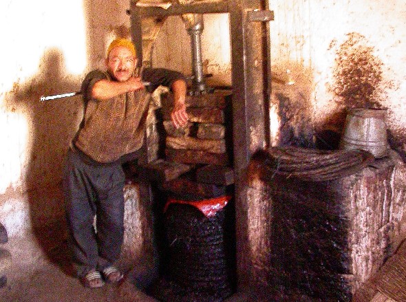 Presse à huile dans la vallée du Todra, sud du Maroc.