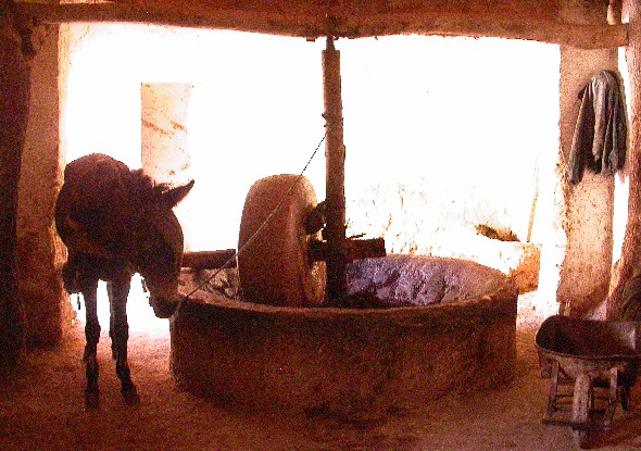 Oil mill near El Khorbat in Todra valley, Southern Morocco.