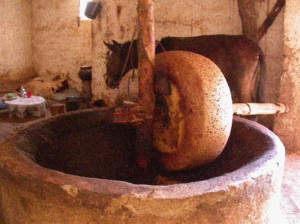 Molino de aceite en el oasis de Ferkla, Marruecos.