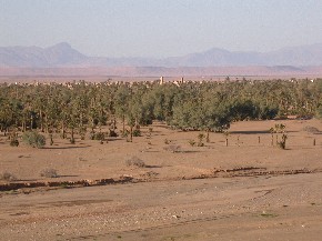 Vista sobre el oasis de Ferkla desde la colina de Tassabelbalt.