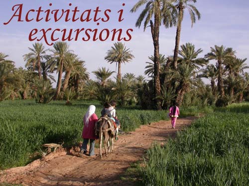 Excursions a Tinghir, gorges del Todra, Merzouga...