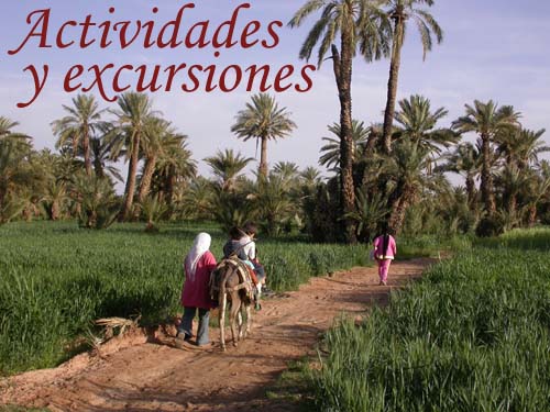 Excursiones por el palmeral de El Khorbat, sur de Marruecos.